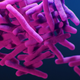 A medical illustration of drug-resistant Mycobacterium tuberculosis bacteria